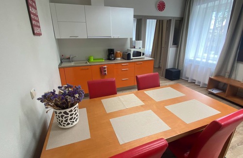 Grizinkalns Apartment | Family and Group Apartment in silent Center of Riga with parking