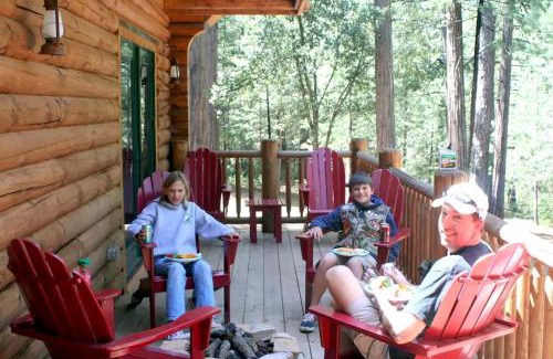 Volcano House | Family-Friendly Log Cabin Rental in California's Gold Country near Sacramento