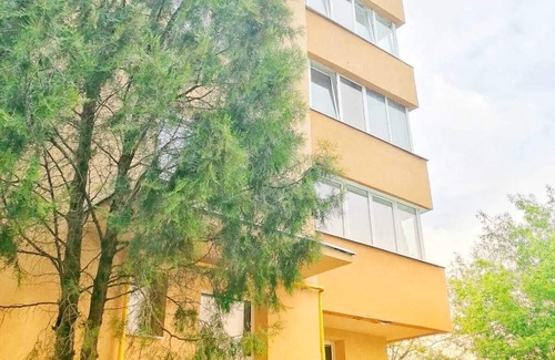 Tirgu Mures Apartment | Family friendly property with quick access to all city landmarks