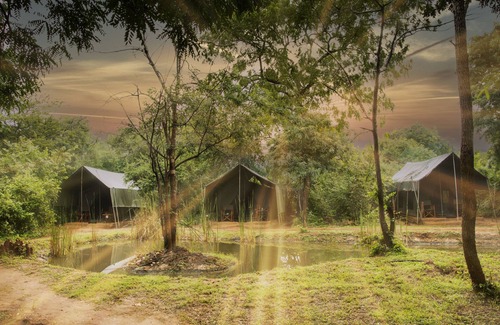 Tissamaharama RV Rental | Family Glamping Bordering Yala National Park