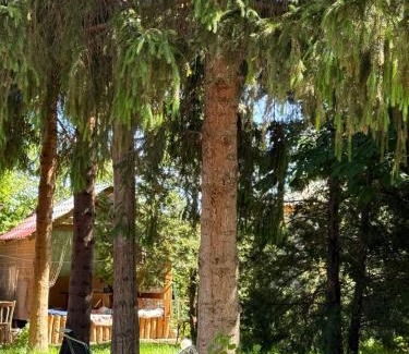 Cholpon-Ata House | Family Guest House
