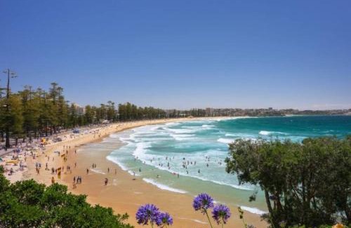 North Curl Curl House | Family home with pool and views