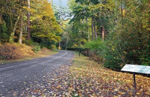 Pitlochry House | Family Lodge No 3 - Uk45692