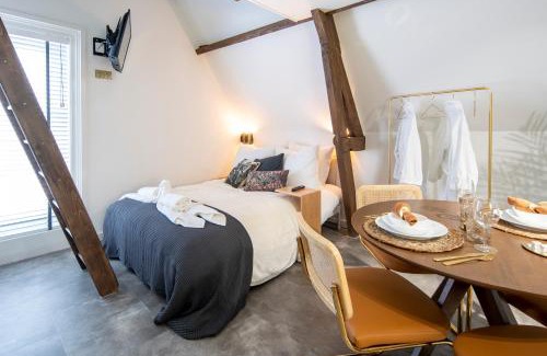 Schiedam Bed & Breakfast | Family penthouse 7-Minutes from Rotterdam Central Newly Build top floor terrace R5
