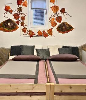 Rezi Apartment | Family Wellness Jacuzzi Sauna Wood Fired Hot Tub 8 Min from Heviz