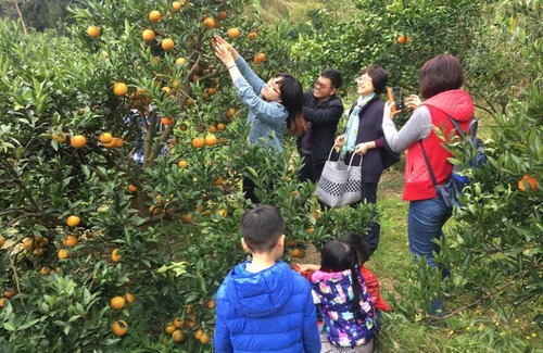 Emei House | Fanny Manor B&B