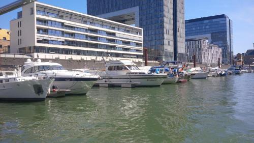 Altstadt-Sued Boat Rental | Fantasie Boot EINHORN