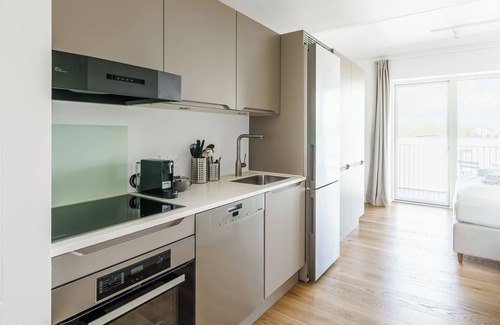Odense Apartment | Fantastic Studio w/balcony - 325