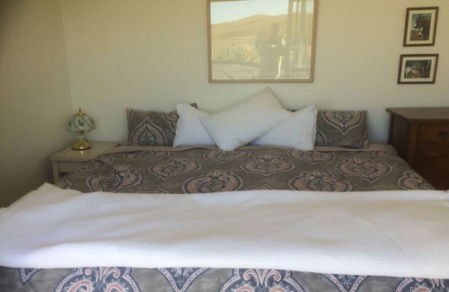 Te Horo Other | Farm stay in peaceful rural setting at equestrian centre.