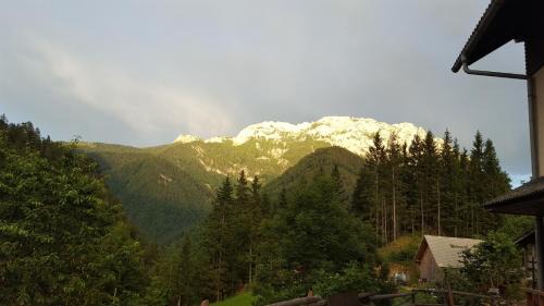 Solcava House | Farm stay Majdač