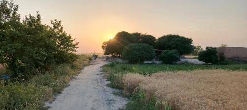 Punjab Apartment | Farmhouse Countryside Retreat Rural Cottage