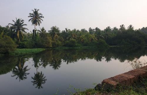 Kozhikode House | Farmville Riverside