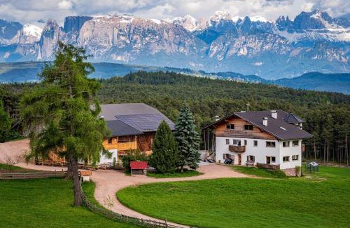 San Genesio Atesino Apartment | Feichterhof