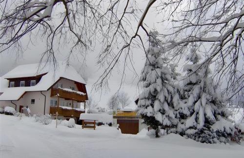 St. Peter im Schwarzwald Apartment | Ferien Auf Dem Steingrubenhof