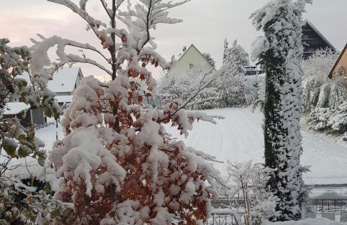 Bischoffingen Apartment | Feriendomizil Bergamini