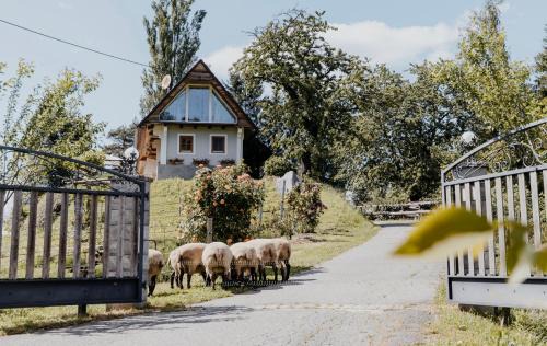 Fotschach House | Ferienhaus am HerbstHof