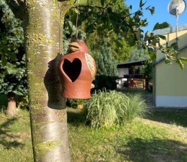 Meisdorf House | Ferienhaus an der Selke
