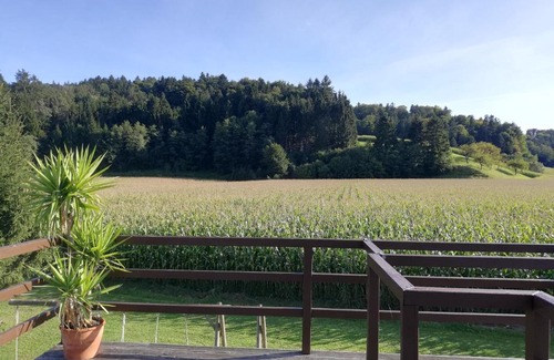 Kirchberg an der Raab House | Ferienhaus Am Bach