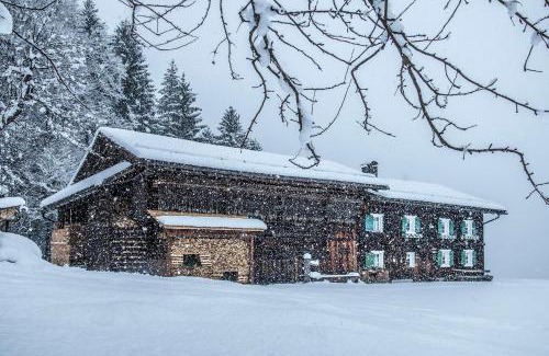 Sankt Gallenkirch House | Ferienhaus Blendolma