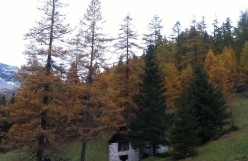Bosco Gurin House | Ferienhaus für 4 Gäste mit 50m² in Bosco Gurin