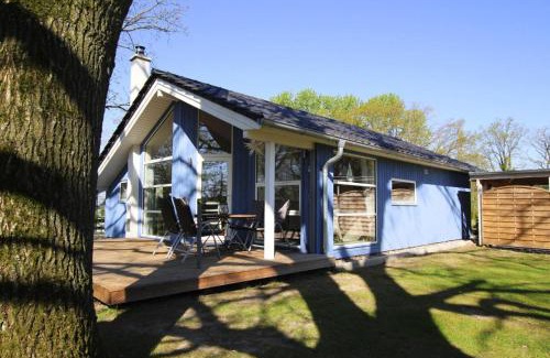 Dummer House | Ferienhaus Seeadler mit Sauna am Dümmer See