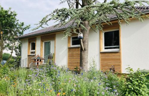 Hofgeismar House | Ferienhaus Urwald