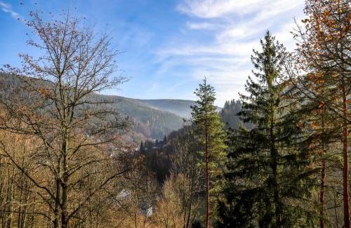 Unterweißbach House | Ferienhaus Weise