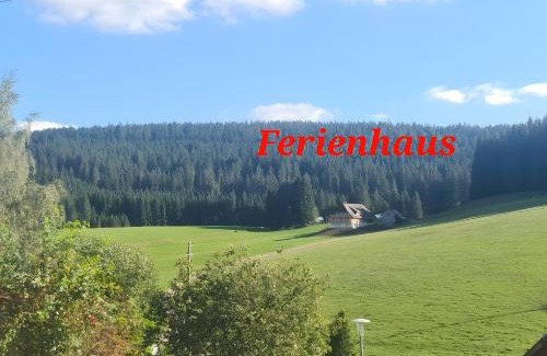 Schollach House | Ferienhaus Wendelhof