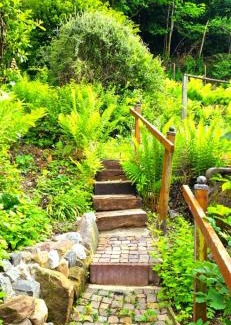 Seesen House | Ferienhaus zum Harzer Hirsch
