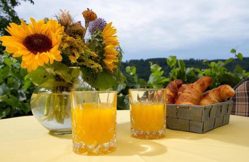 Owingen Apartment | Ferienparadies Bodensee Fewo1