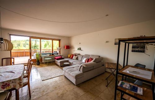 Schoenau im Schwarzwald Apartment | Ferienwohnung am Letzberg