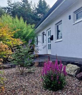 Wietze Apartment | Ferienwohnung AllerDings