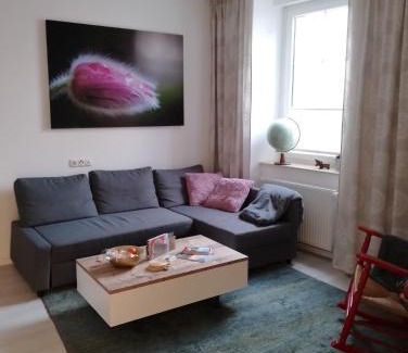 Pellenz Apartment | Ferienwohnung Am Geysirzentrum