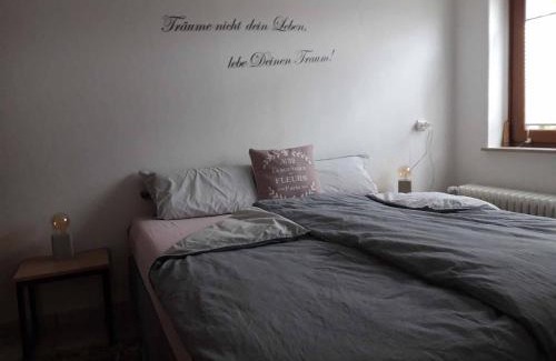 Bad Pyrmont Apartment | Ferienwohnung am Ginkgo Baum