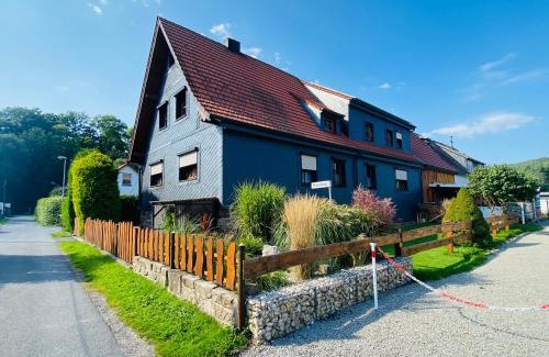 Erlau Apartment | Ferienwohnung An den Erlewiesen, 3SZ, 85qm, Kamin