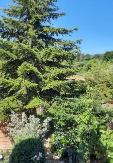 Eisenach Apartment | Ferienwohnung An der Karlskuppe