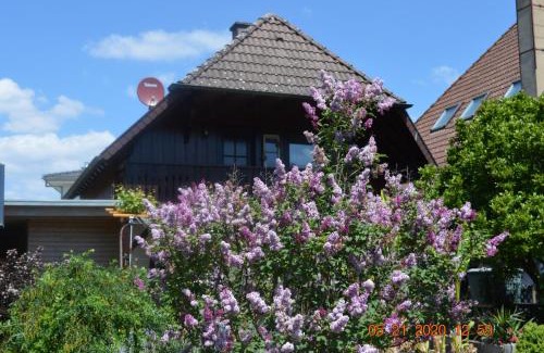 Gutach Apartment | Ferienwohnung Beim Holzmann