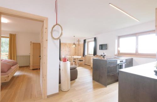 Aldino Apartment | Ferienwohnung Berg Wieserhof