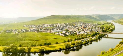 Trittenheim Apartment | Ferienwohnung Bergblick