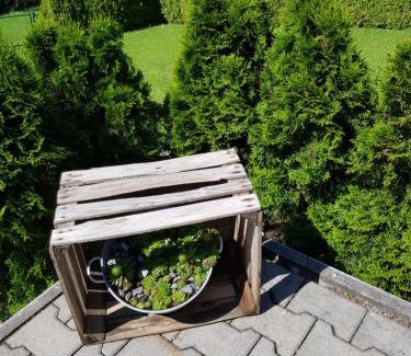 Furstenstein Apartment | Ferienwohnung Betula