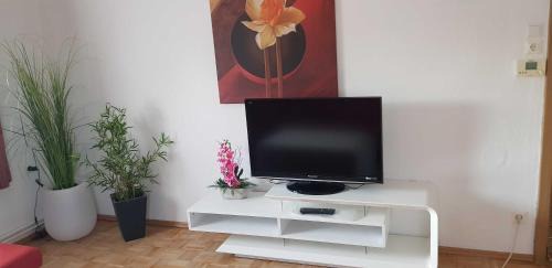 Zoebing Apartment | Ferienwohnung Borse