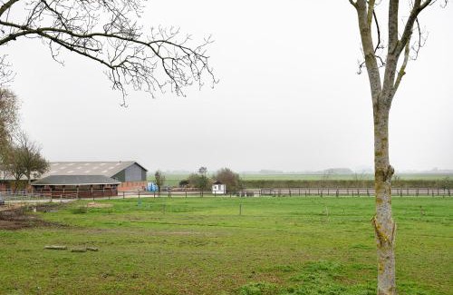 Busumer Deichhausen Apartment | Ferienwohnung Norderwurth