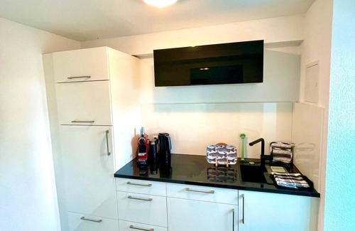 Gerolfingen Apartment | Ferienwohnung Direkt am Bodensee/Untersee Nahe Konstanz