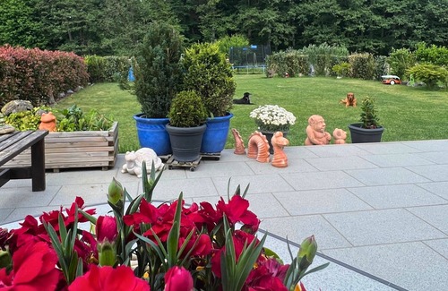 Rimbach Apartment | Ferienwohnung Drachenhaus WIR Holen Sie aus dem Alltag Raus - Ferienwohnung Drachenhaus