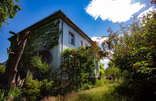 Bad Belzig Apartment | Ferienwohnung Fläming