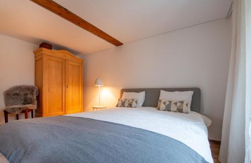 Obergesteln Apartment | Ferienwohnung Gabschi
