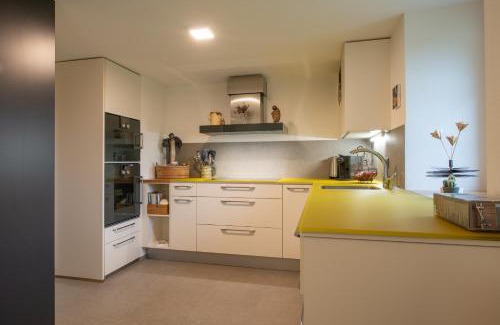 Obergesteln Apartment | Ferienwohnung Gabschi