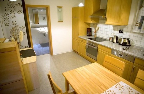 Leubnitz-Neuostra Apartment | Ferienwohnung "Ginkgo" Dresden