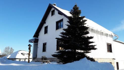 Frauenwald Apartment | Ferienwohnung Hauptmann