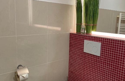 Dummer Apartment | Ferienwohnung Haus Ossenkopp